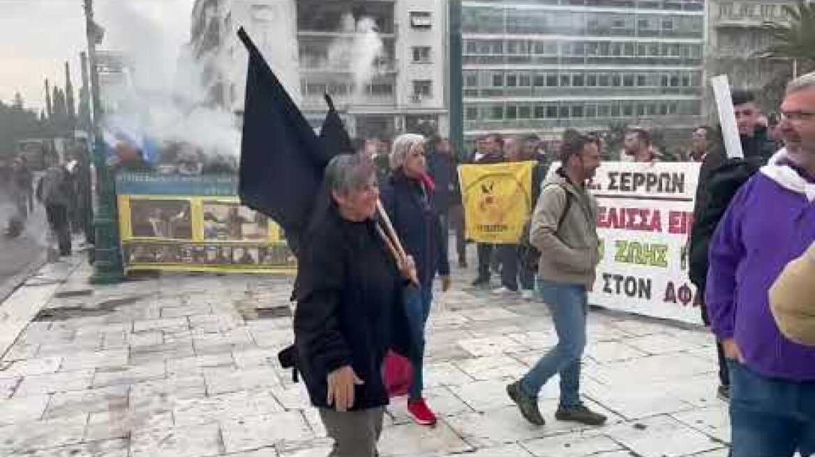 Στο Σύνταγμα οι μελισσοκόμοι (4)