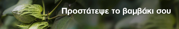 spot_img