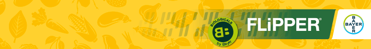 spot_img