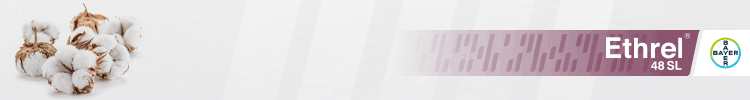 spot_img