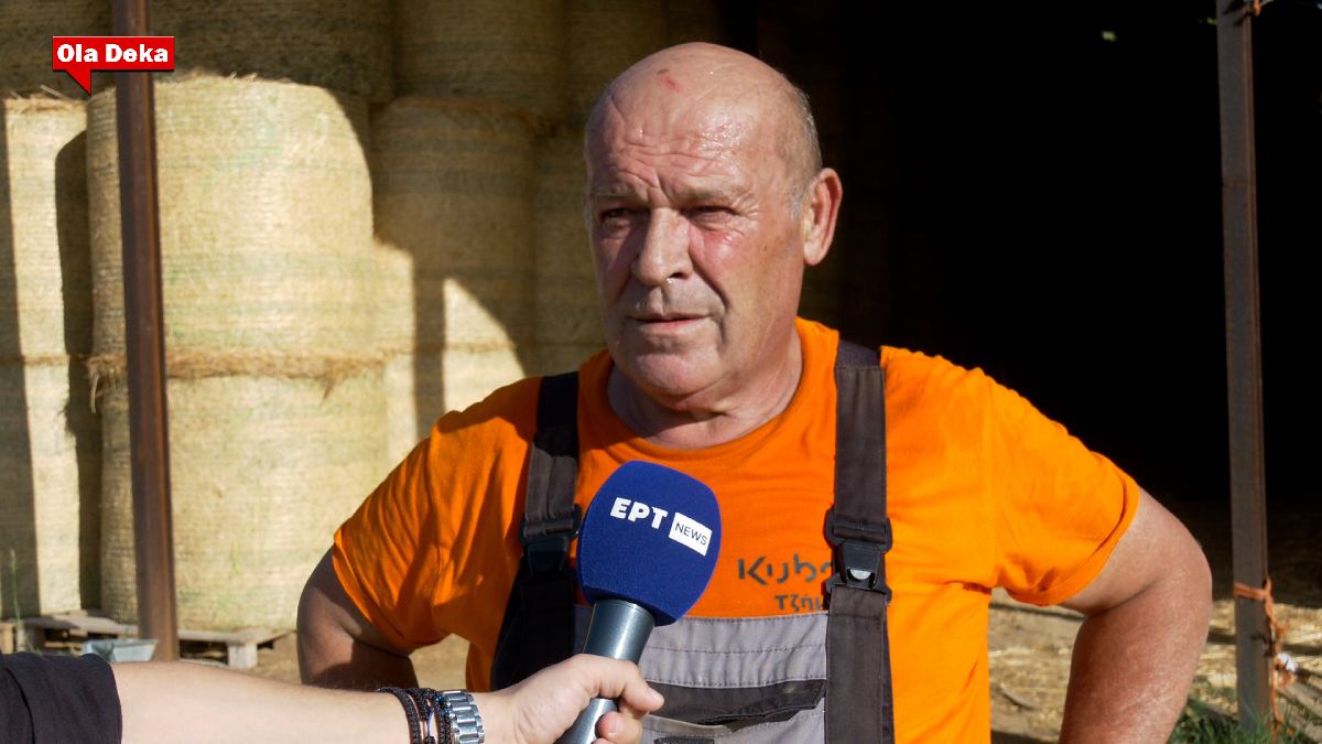 Δημήτρης Μόσχος: «Για τον καταρροϊκό πυρετό κανείς δε μιλάει» (ρεπορτάζ ...