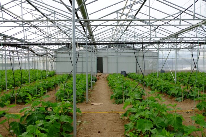 DSCF7392-scaled-654358970