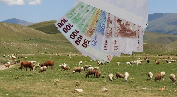 αγελάδες-πρόβατα-ευρώ-πληρωμές-696x381