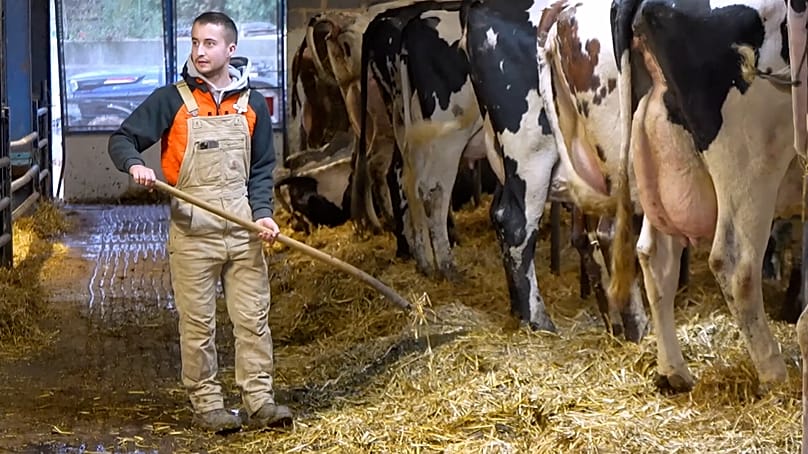 Ο Matteo Godfriaux ελπίζει μια μέρα να αναλάβει την οικογενειακή φάρμα στο Βέλγιο. 