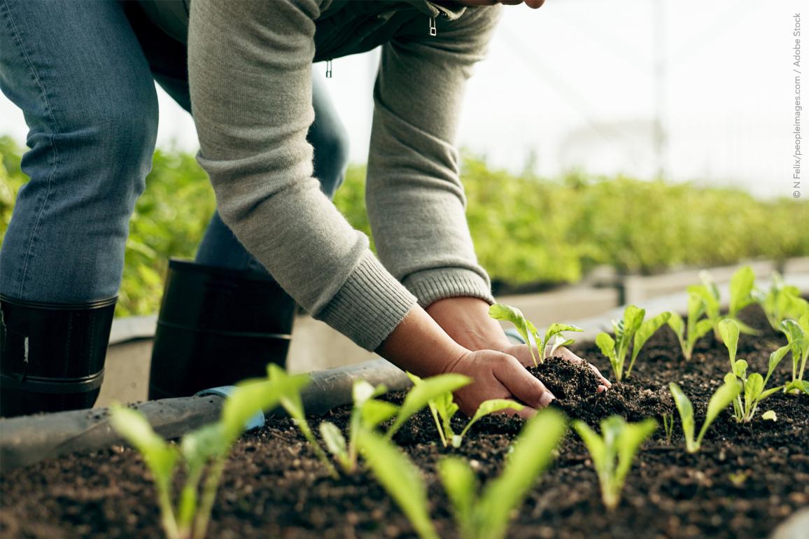 Το Κοινοβούλιο συμφώνησε για την απλούστευση των κανόνων για τους αγρότες © N Felix/peopleimages.com / Adobe Stock 