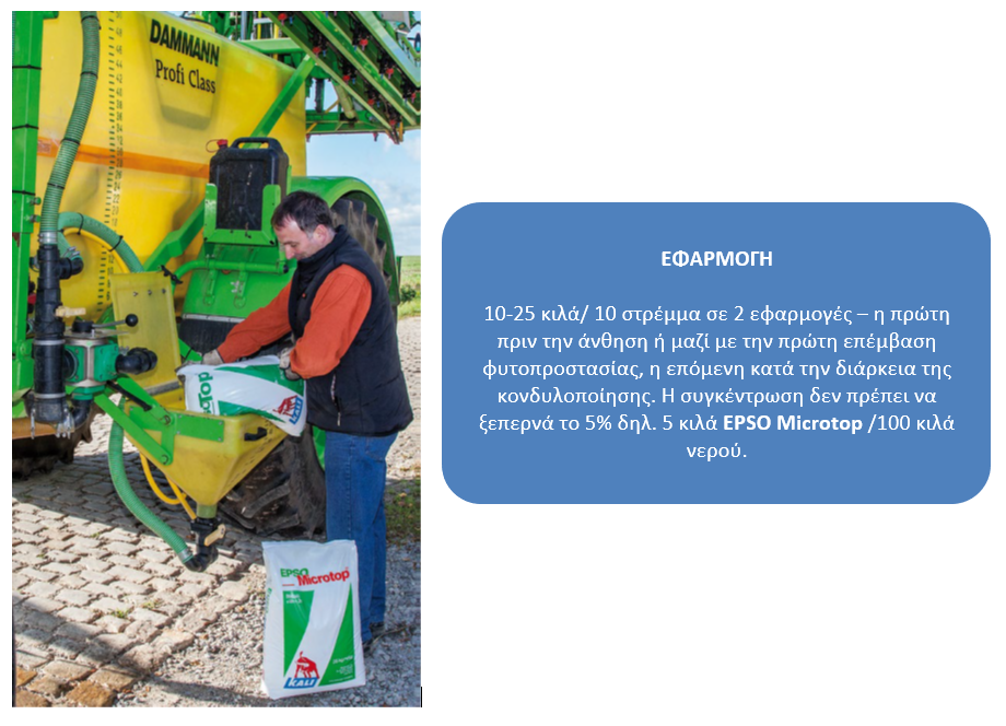 lipansi patata efarmogi