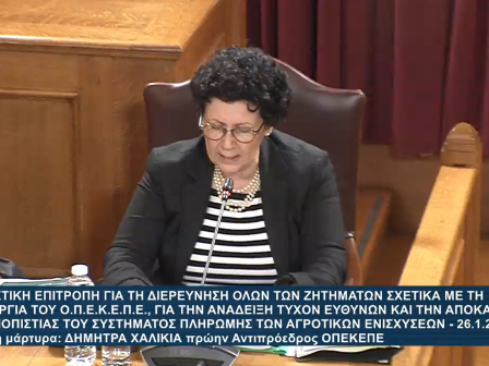 exetastiki-opekepe-d-chalikia-to-2022-den-egine-kanenas-elegchos-ston-organismo-afou-den-ypirche-pliroforiako-systima-372074