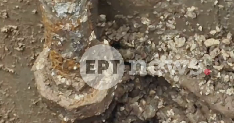 «Βιολάντα»: Στον ανακριτή σήμερα ο ιδιοκτήτης – Έκλεισε και το εργοστάσιο στη Λάρισα λόγω έλλειψης πιστοποιητικού πυρασφάλειας