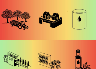 Συνέδριο «Ελαιοκομικός Τομέας: Προβλήματα και Προοπτικές»11 και 12 Ιουνίου 2026 στο ΓΠΑ