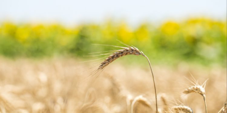 δασμοί αγροτικά προϊόντα