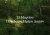 21η Μαρτίου – Παγκόσμια ημέρα Δασοπονίας – Διεθνή Ημέρα Δασών