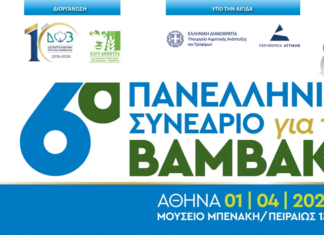 6ο Πανελλήνιο Συνέδριο για το βαμβάκι: βγήκε το πρόγραμμα