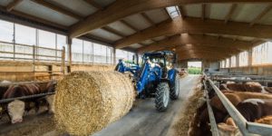 New Holland