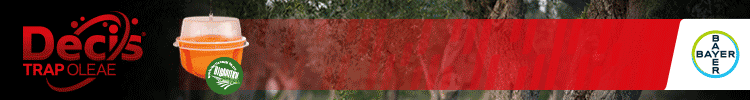 spot_img