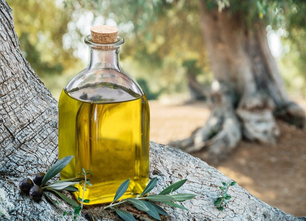 Ελαιοπαραγωγή στη Λέσβο: Καλύτερη η φετινή καρπόδεση αλλά προβληματισμός για τιμές και εργατικά χέρια
