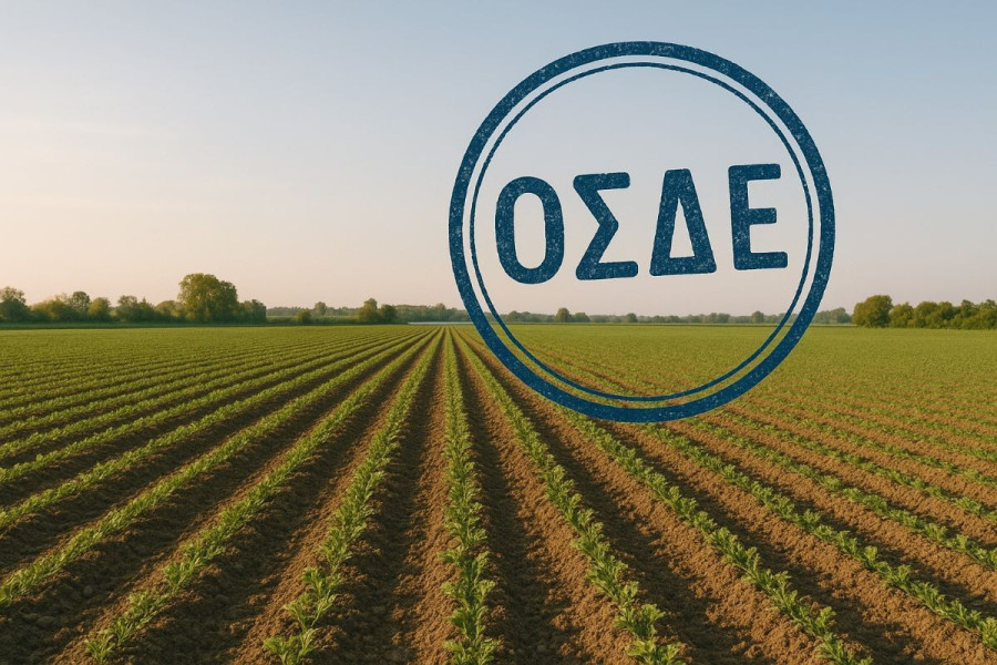 ΟΣΔΕ 2026: Οι δύο προθεσμίες που κρίνουν τις πληρωμές - Ποιοι αγρότες ...