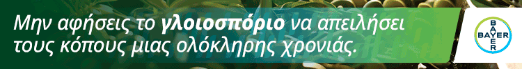 spot_img